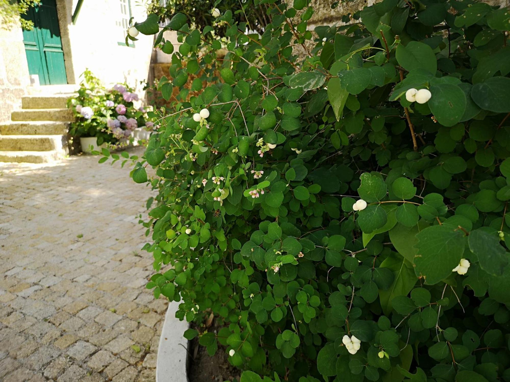 Refugio De Calheiros Villa Covilhã Eksteriør bilde