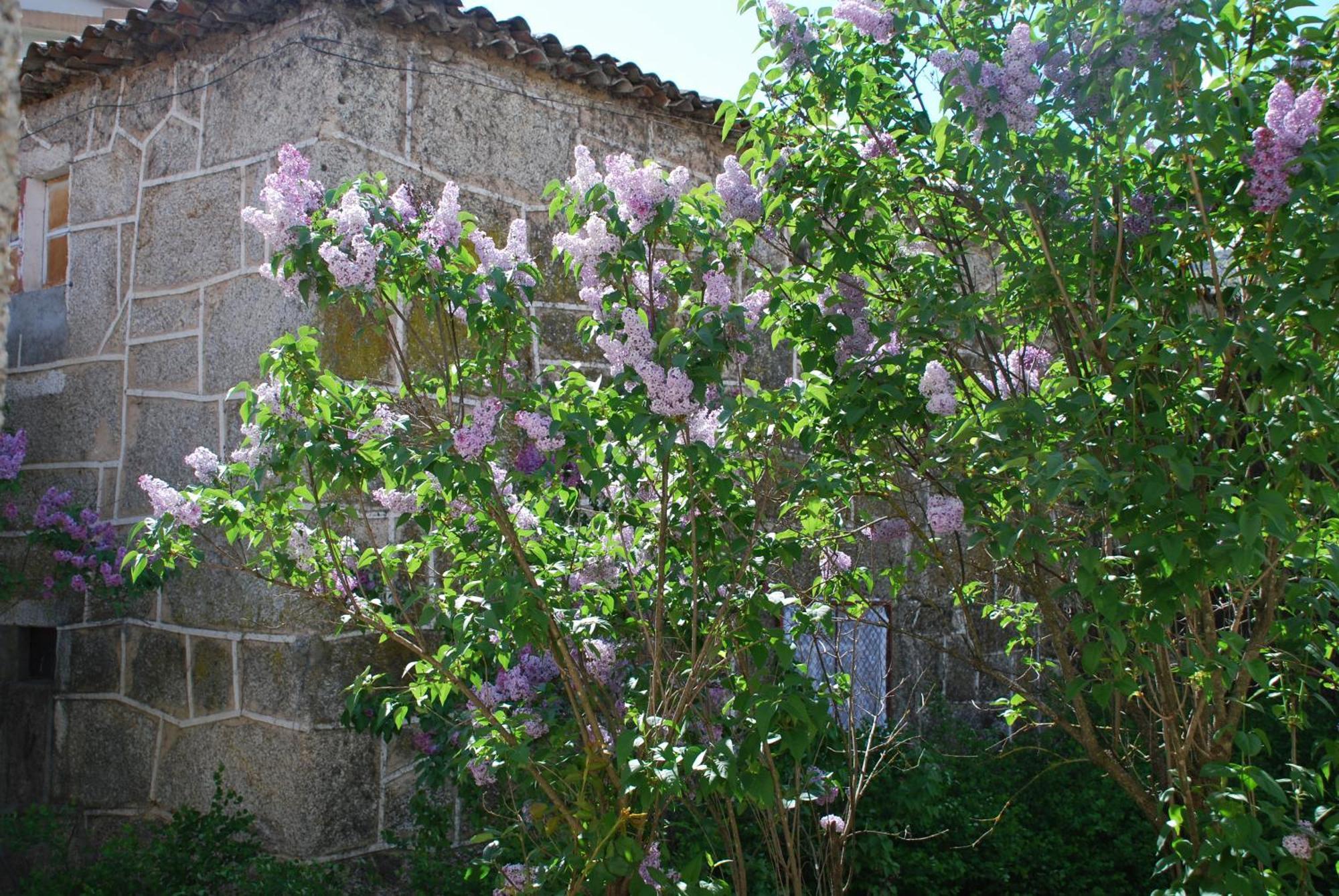 Refugio De Calheiros Villa Covilhã Eksteriør bilde